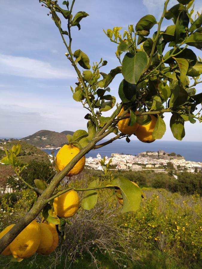 Villa Belvedere Lipari  Luaran gambar